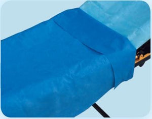 Everyday Stretcher Sheet Flat 40 X 90 Inch Blue Tissue / Poly Disposable Case of 50