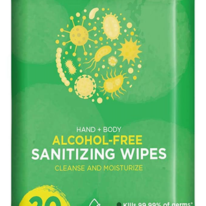 CareTouch Sanitizing Wipes, Pack of 20