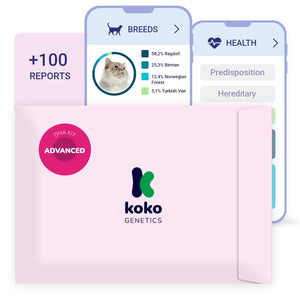 Koko Genetics Advanced DNA Test for Cats, Analyzes & Identifies 40+ Breeds, Ancestry, Offers 146+ Genetic Health and Traits Reports, Lifetime Updates Included