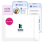 Koko Genetics Advanced DNA Test for Dogs, Analyzes & Identifies 400+ Breeds, Ancestry, Offers 175+ Genetic Health and Traits Reports, Lifetime Updates Included