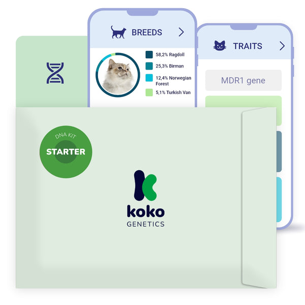 Koko Genetics Starter DNA Test for Cats, Analyzes & Identifies 40+ Breeds and Offers 46+ Genetic Traits and Ancestry Reports, Lifetime Updates Included