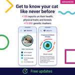 Koko Genetics Advanced DNA Test for Cats, Analyzes & Identifies 40+ Breeds, Ancestry, Offers 146+ Genetic Health and Traits Reports, Lifetime Updates Included