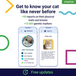 Koko Genetics Starter DNA Test for Cats, Analyzes & Identifies 40+ Breeds and Offers 46+ Genetic Traits and Ancestry Reports, Lifetime Updates Included