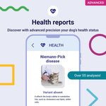 Koko Genetics Advanced DNA Test for Cats, Analyzes & Identifies 40+ Breeds, Ancestry, Offers 146+ Genetic Health and Traits Reports, Lifetime Updates Included