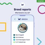 Koko Genetics Starter DNA Test for Cats, Analyzes & Identifies 40+ Breeds and Offers 46+ Genetic Traits and Ancestry Reports, Lifetime Updates Included