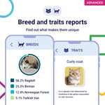 Koko Genetics Advanced DNA Test for Cats, Analyzes & Identifies 40+ Breeds, Ancestry, Offers 146+ Genetic Health and Traits Reports, Lifetime Updates Included
