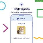 Koko Genetics Starter DNA Test for Cats, Analyzes & Identifies 40+ Breeds and Offers 46+ Genetic Traits and Ancestry Reports, Lifetime Updates Included