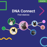 Koko Genetics Starter DNA Test for Cats, Analyzes & Identifies 40+ Breeds and Offers 46+ Genetic Traits and Ancestry Reports, Lifetime Updates Included