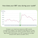 Mira Digital Basal Body Thermometer, Accurate BBT to Predict Ovulation and Fertile Days, Large Screen with Bluetooth, Connect to Mira App, 1 Count 88476556
