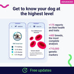 Koko Genetics Advanced DNA Test for Dogs, Analyzes & Identifies 400+ Breeds, Ancestry, Offers 175+ Genetic Health and Traits Reports, Lifetime Updates Included