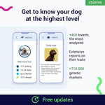 Koko Genetics Starter DNA Test for Dogs, Analyzes & Identifies 400+ Breeds and Offers 25+ Genetic Traits and Ancestry Reports, Lifetime Updates Included
