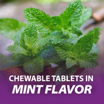 Rolaids Ultra Strength Antacid/Calcium Magnesium Supplement, Mint, 72 Tablet Bottle 19735959