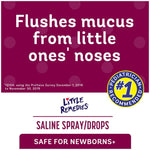 Little Remedies Saline Nasal Spray + Drops, 0.65% Strength 1 oz., 1 Each 49563130