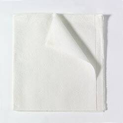 Encore General Purpose Drape Sheet 40 W X 48 L Inch NonSterile CS/100
