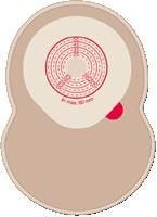 Adapt 79601 Oval Convex Ring, Box of 10